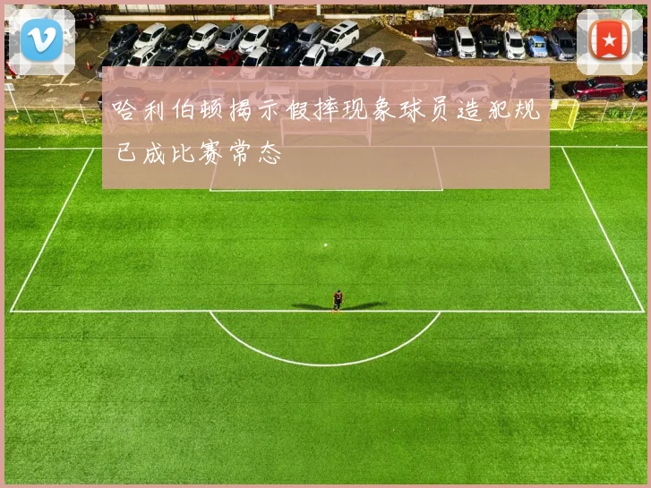 哈利伯顿揭示假摔现象球员造犯规已成比赛常态