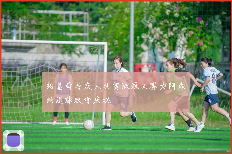 约基奇与友人共赏欧冠决赛为阿森纳进球欢呼庆祝